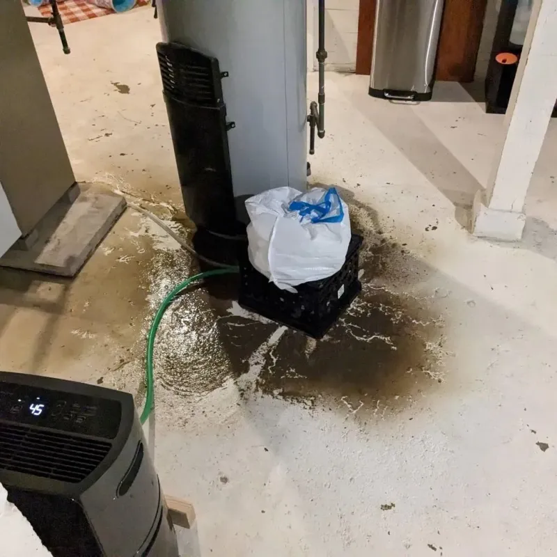 Sewage Backup Cleanup Service in Avon, MA